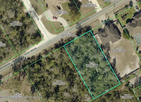 Vacant Land For Sale - Noddy Tern Road<br/> Weeki Wachee, FL 34613