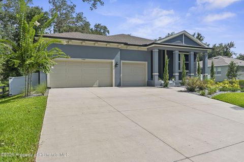 Homes For Sale - 5100 Westlake Boulevard<br/> Hernando County, Dade City, FL 33523