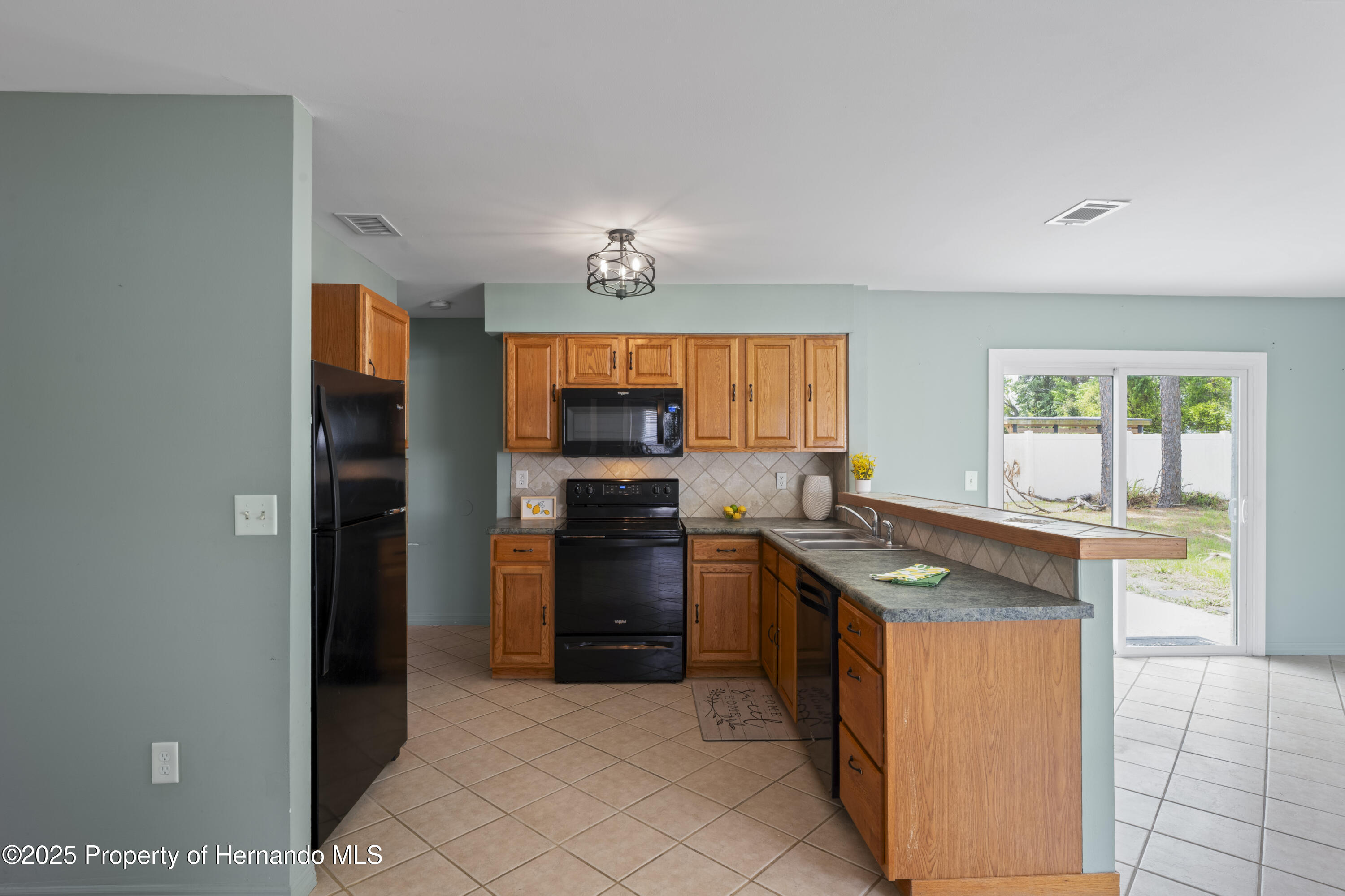 3353 Montano Avenue, Spring Hill, Florida image 14