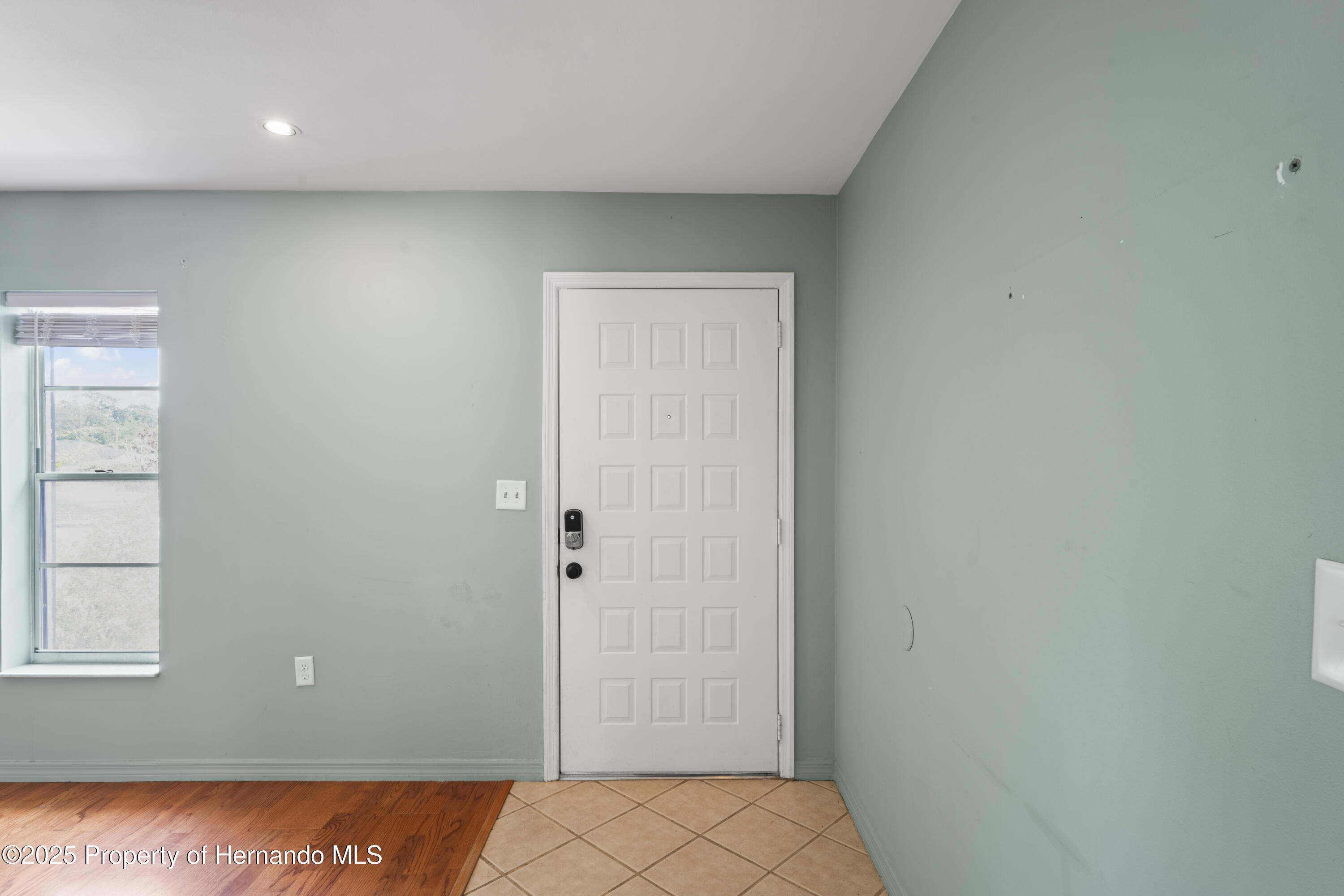 3353 Montano Avenue, Spring Hill, Florida image 10