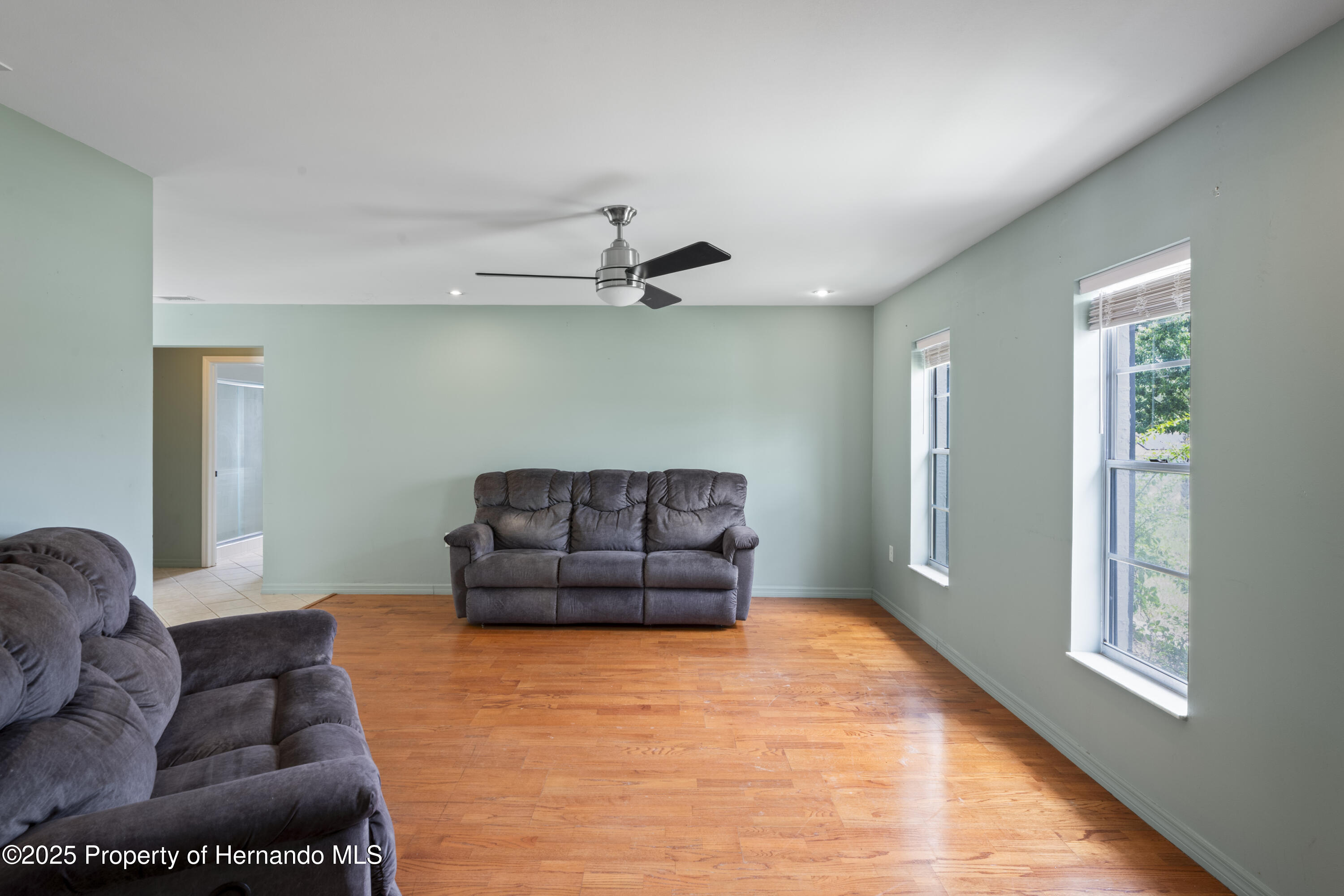 3353 Montano Avenue, Spring Hill, Florida image 12