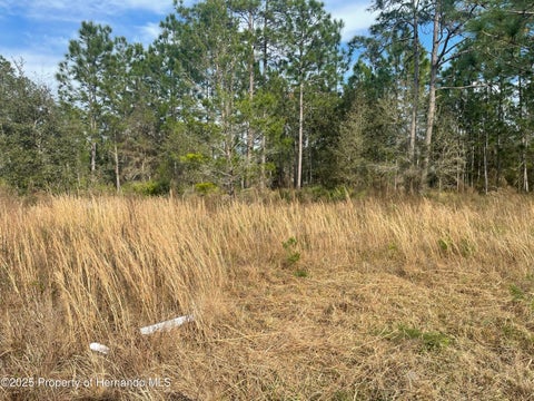 Vacant Land For Sale - 18061 Necklace Warbler Avenue<br/> Brooksville, FL 34614