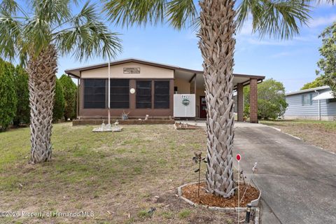 8425 Mohican Avenue Brooksville FL 34613