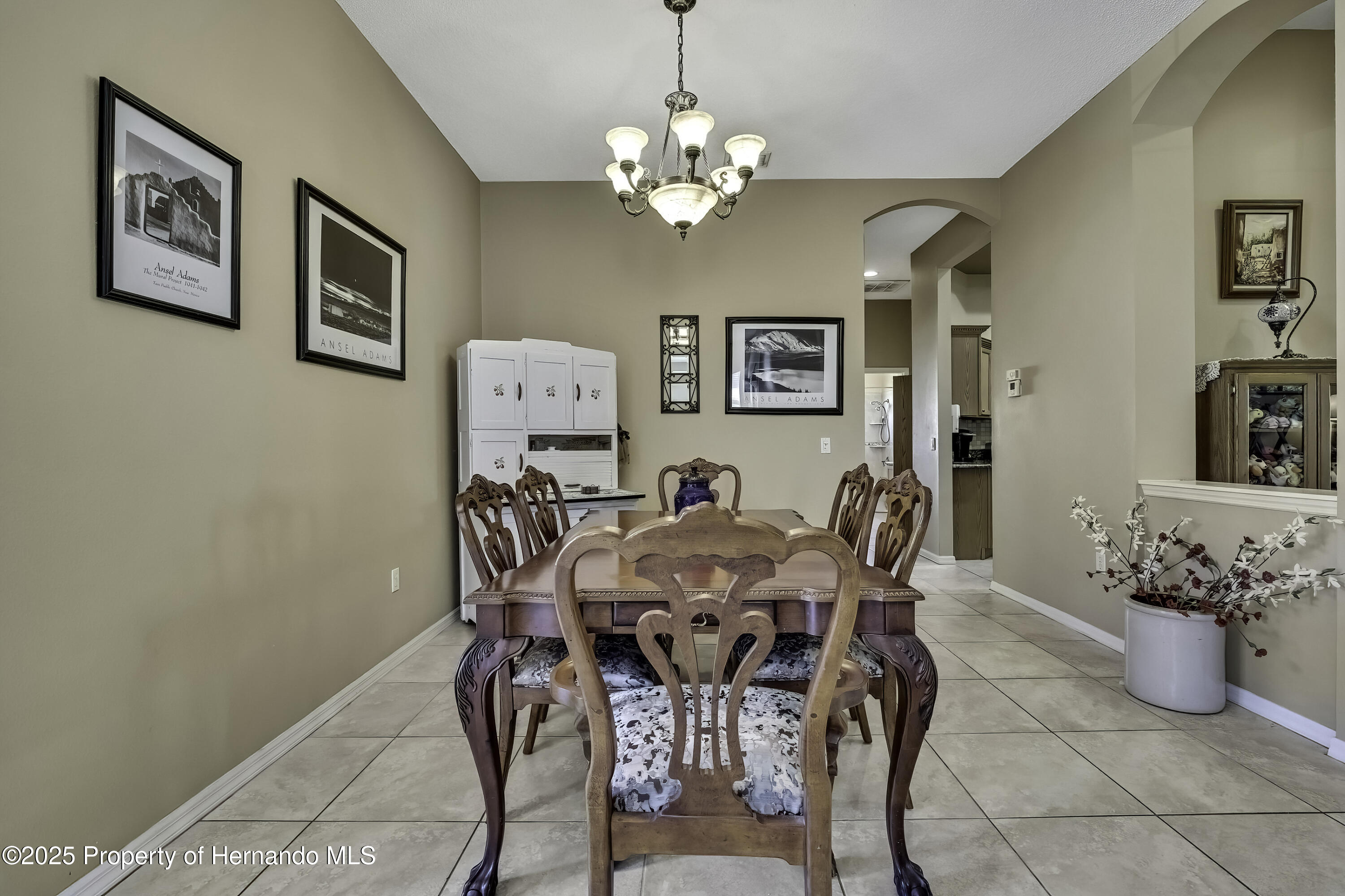 11253 Avalon Way, Spring Hill, Florida image 9