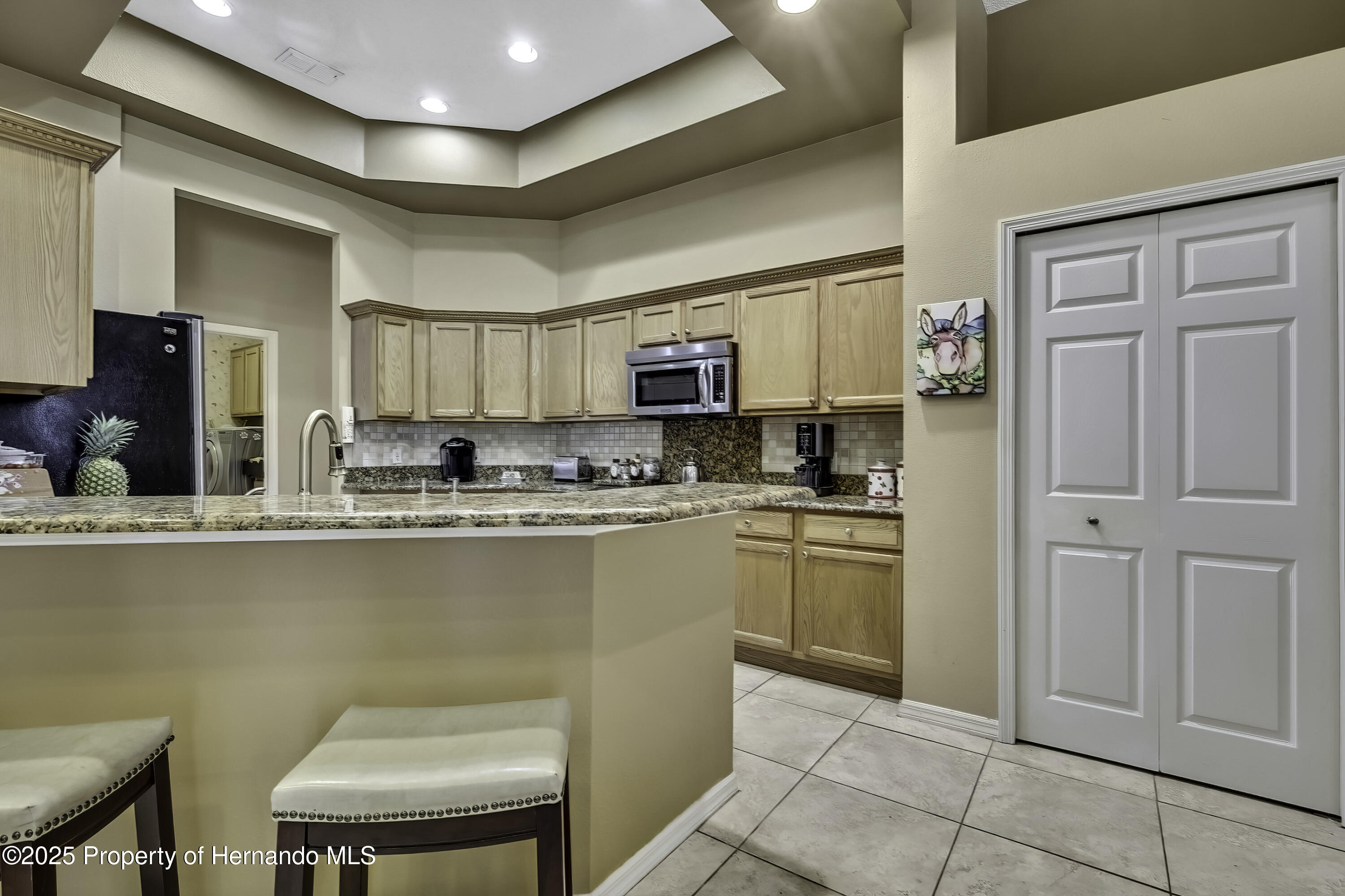 11253 Avalon Way, Spring Hill, Florida image 16