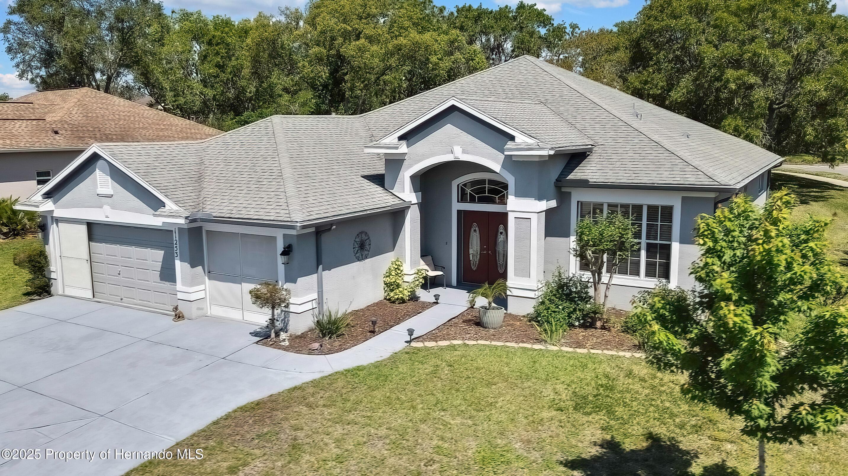11253 Avalon Way, Spring Hill, Florida image 2