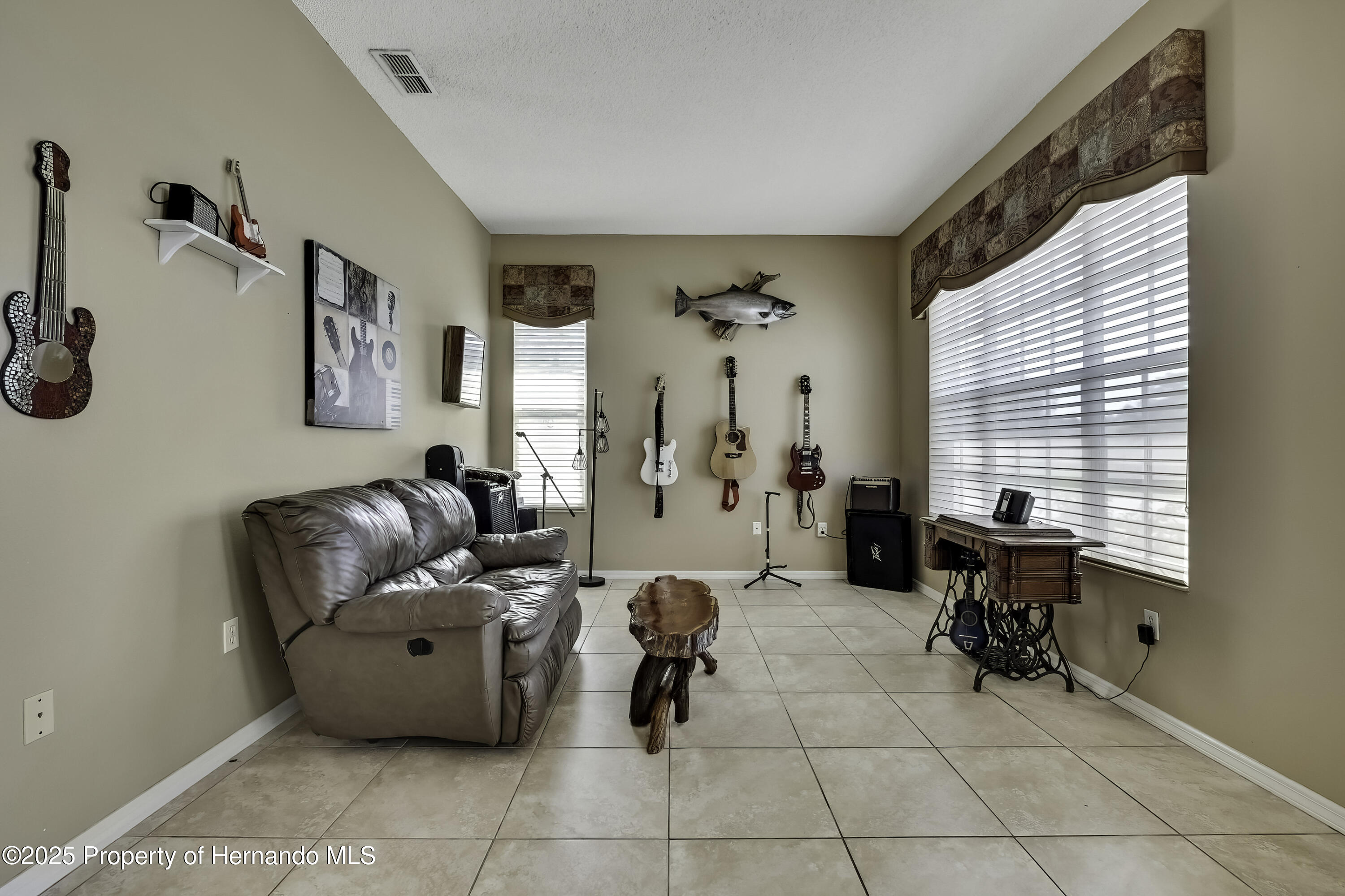 11253 Avalon Way, Spring Hill, Florida image 7