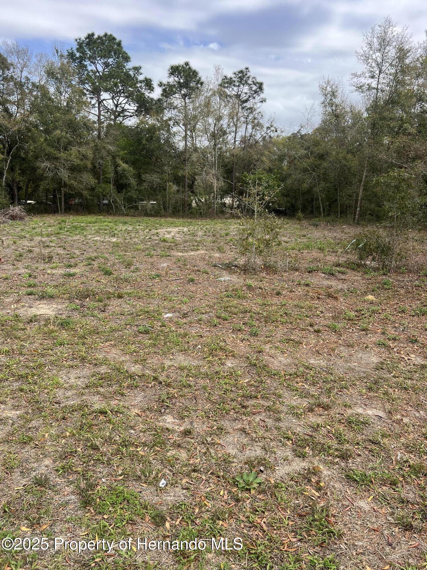 Simmons, Brooksville, Florida image 2