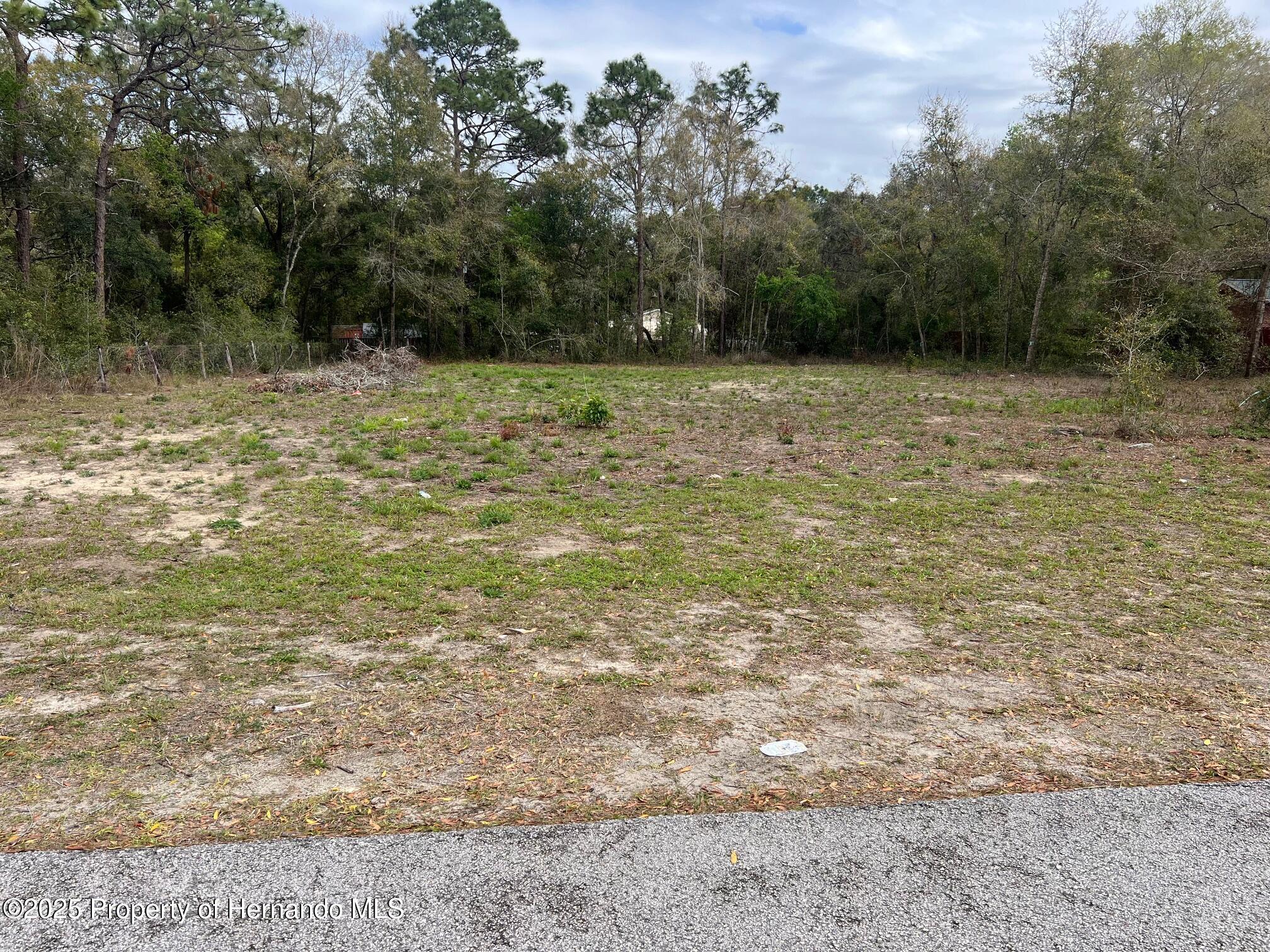 Simmons, Brooksville, Florida image 1