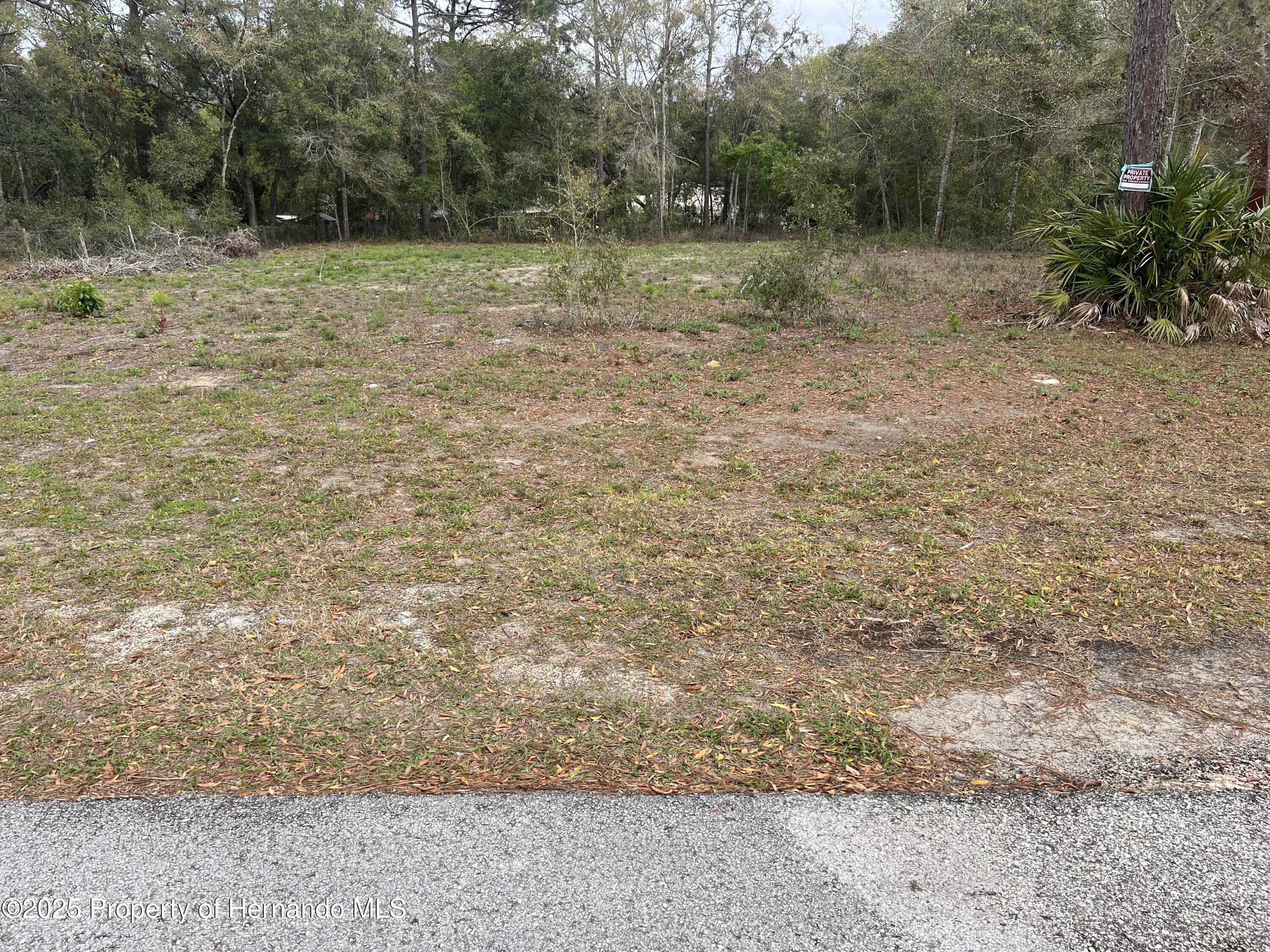 Simmons, Brooksville, Florida image 3