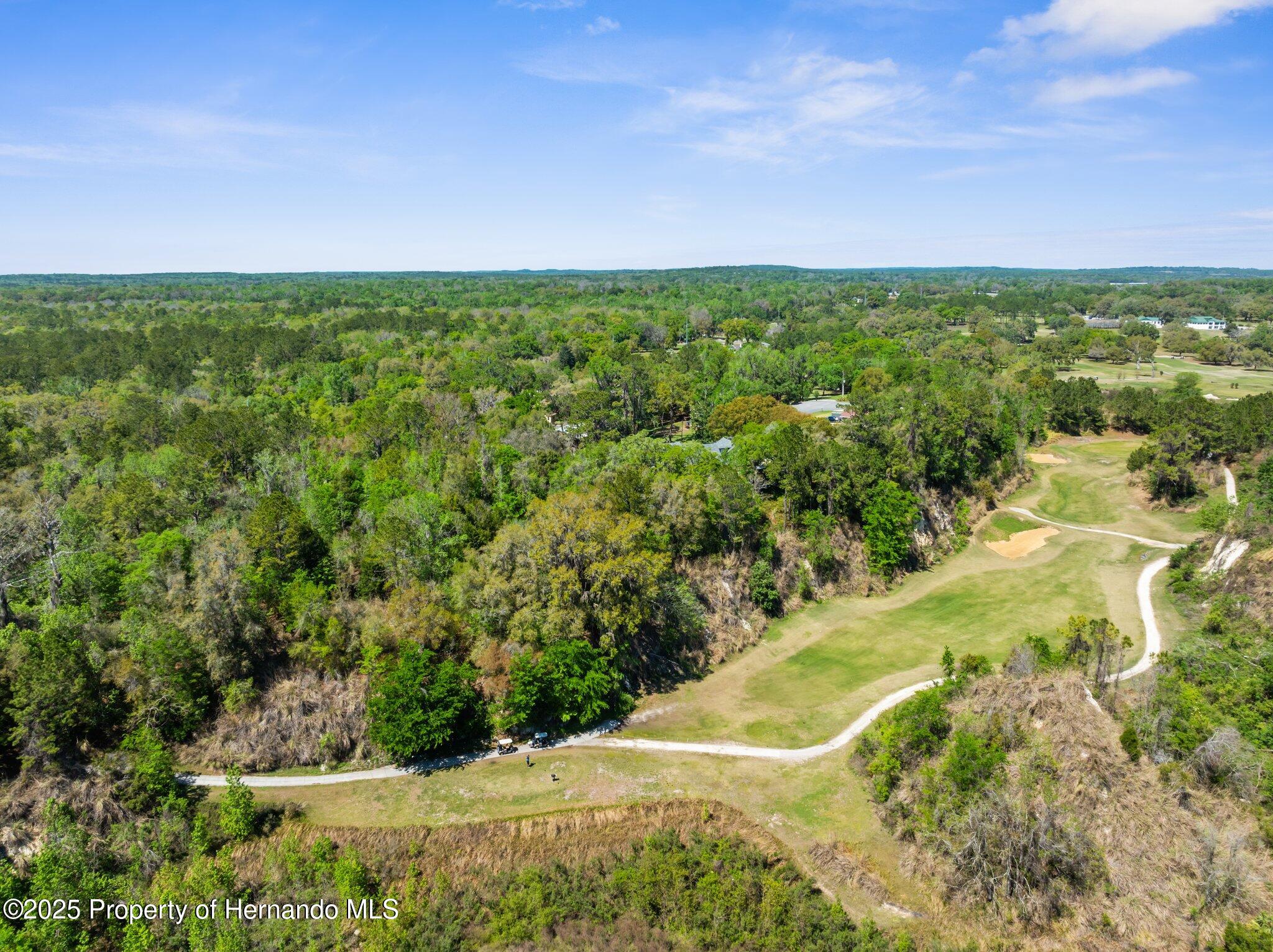 23298 Christian Circle, Brooksville, Florida image 10