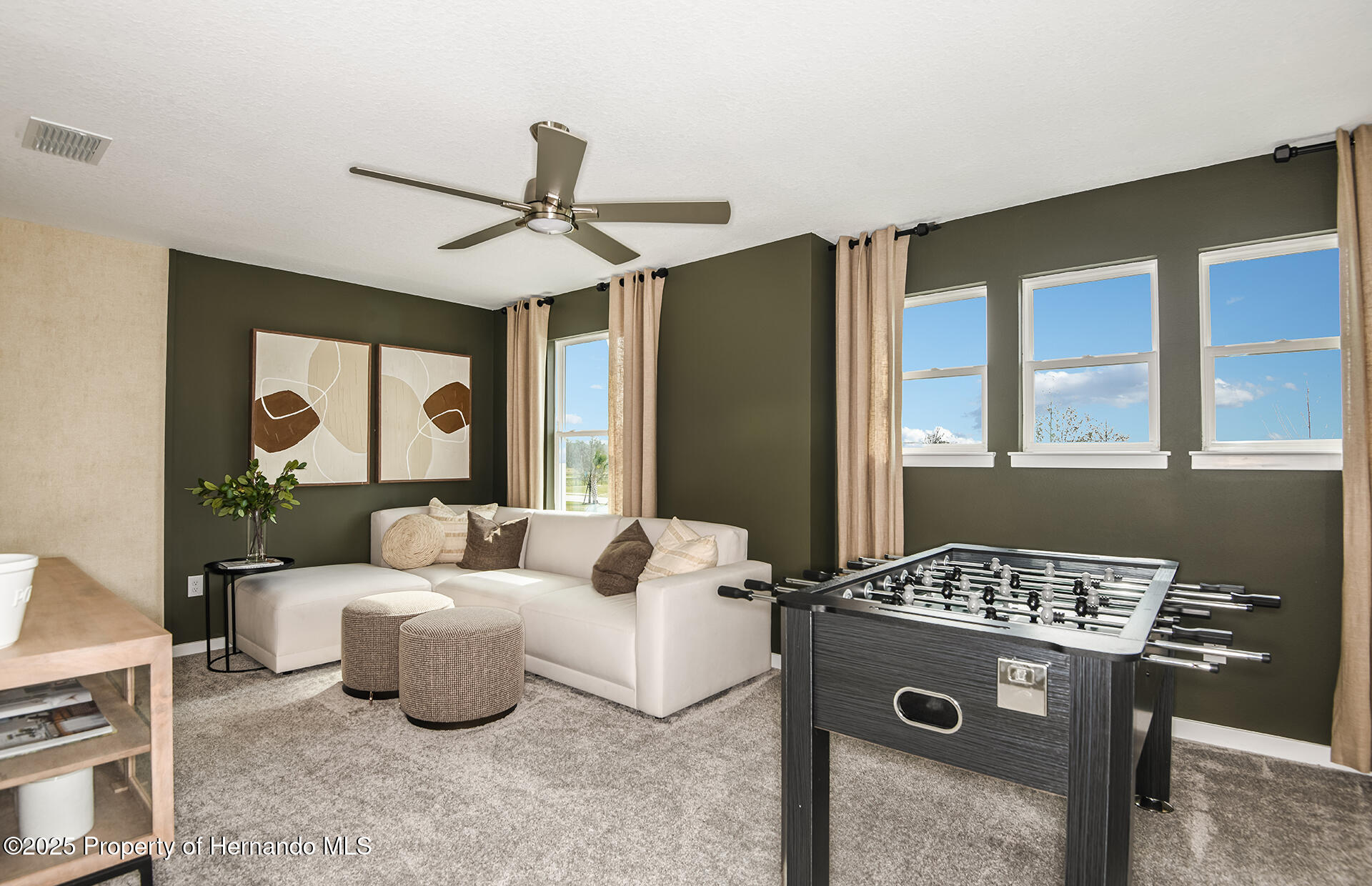 4205 Goldfoil Road, Spring Hill, Florida image 12