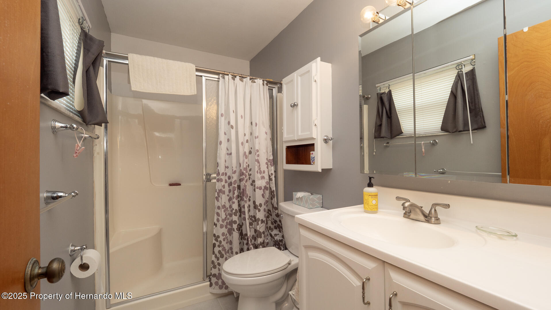10386 Myra Street, Spring Hill, Florida image 19