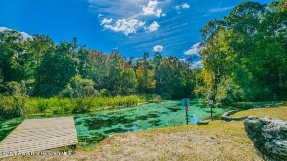 7187 Montier Street, Weeki Wachee, Florida image 32