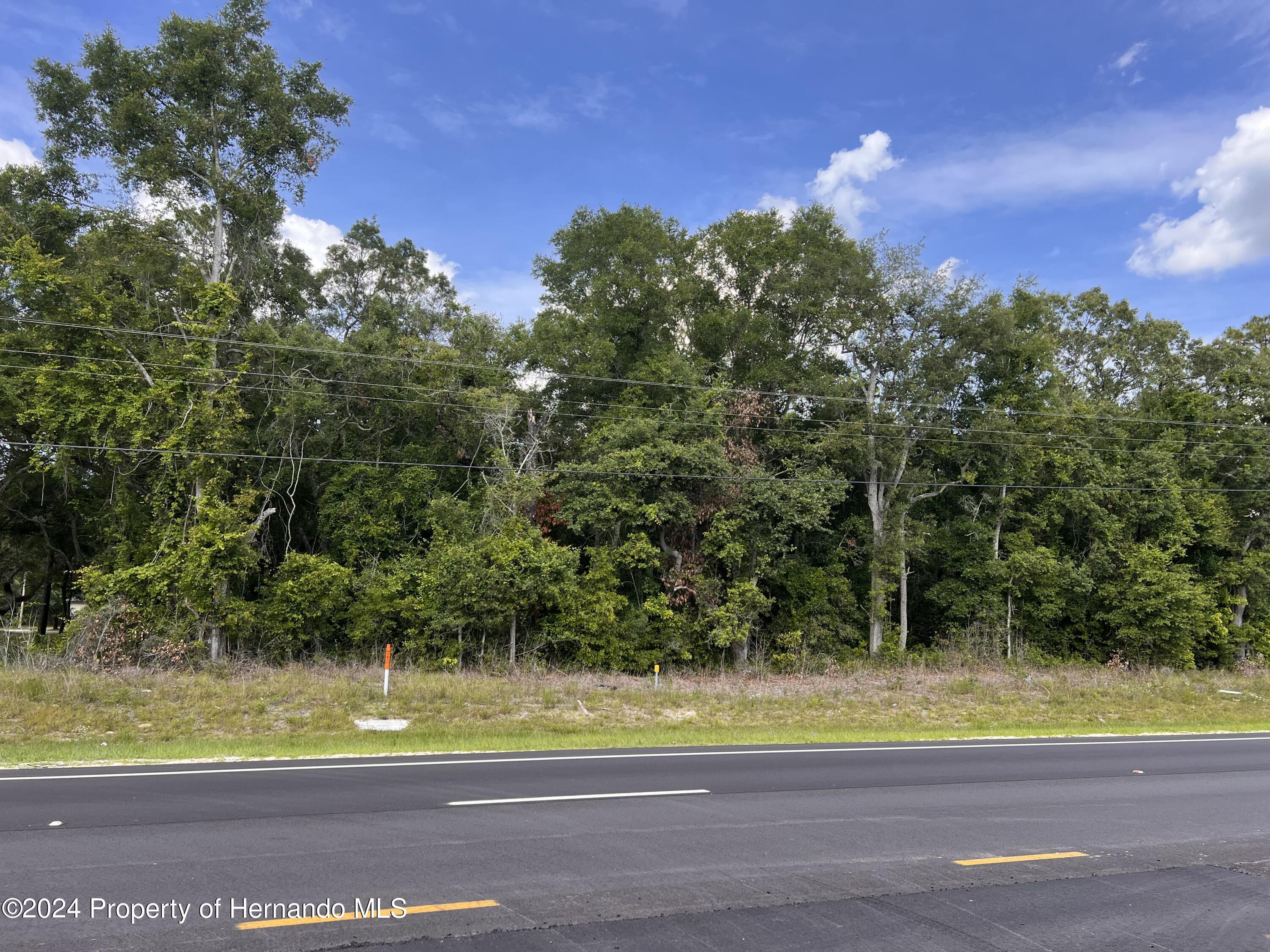 Us Hwy 19, Chiefland, Florida image 3