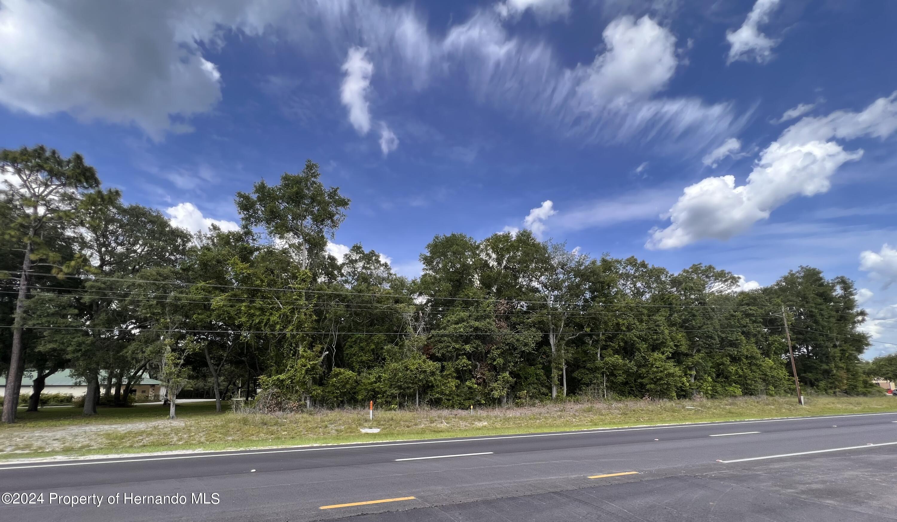 Us Hwy 19, Chiefland, Florida image 2