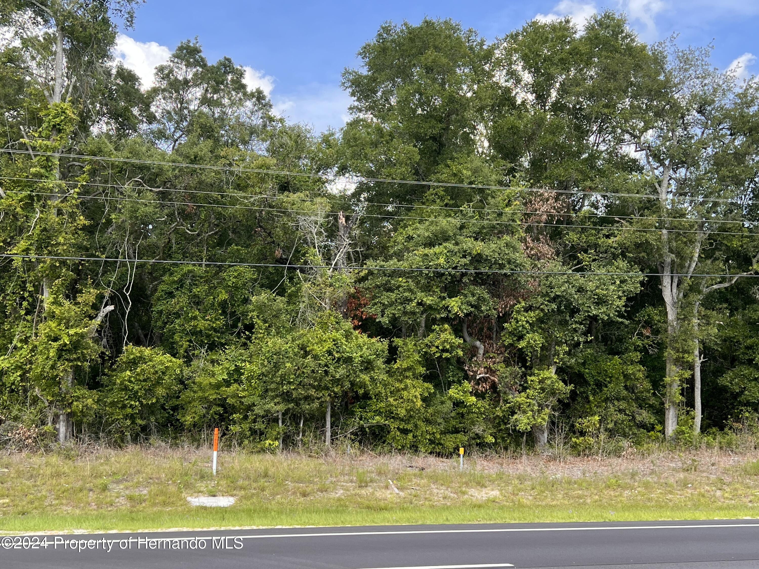 Us Hwy 19, Chiefland, Florida image 1