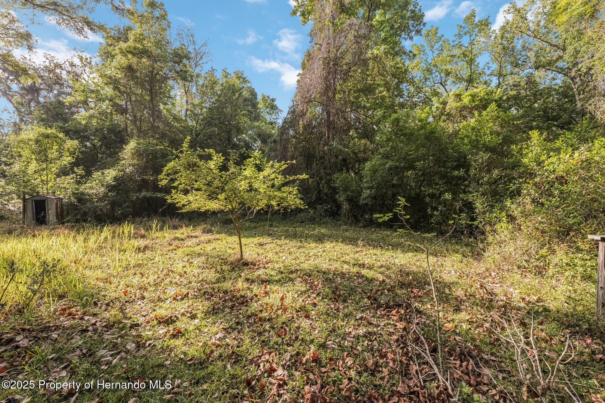 19460 Mccloy Circle, Brooksville, Florida image 4