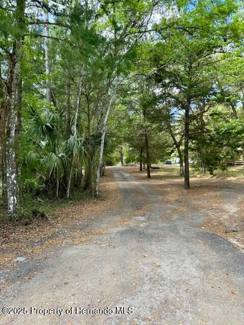 Old Crystal River Road, Brooksville, Florida image 10