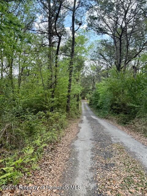 Old Crystal River Road, Brooksville, Florida image 11