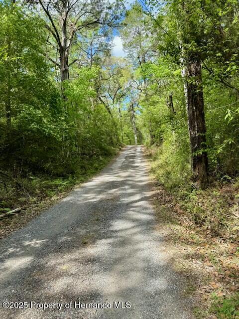 Old Crystal River Road, Brooksville, Florida image 12