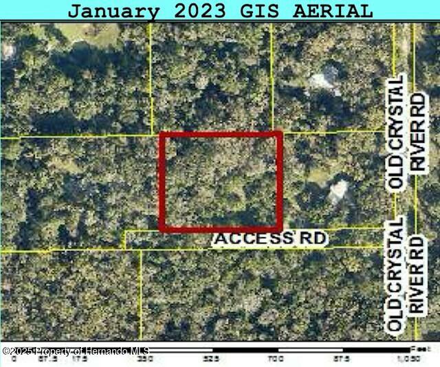 Old Crystal River Road, Brooksville, Florida image 15