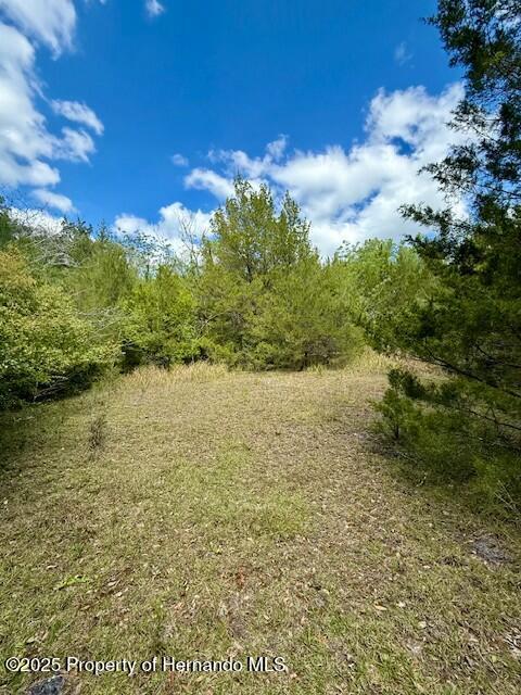 Old Crystal River Road, Brooksville, Florida image 2