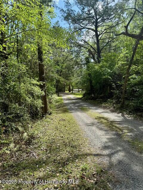 Old Crystal River Road, Brooksville, Florida image 13