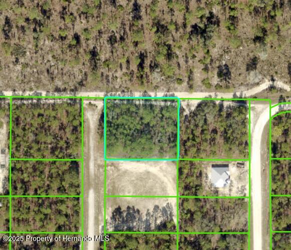 Mellon Road, Weeki Wachee, Florida image 5
