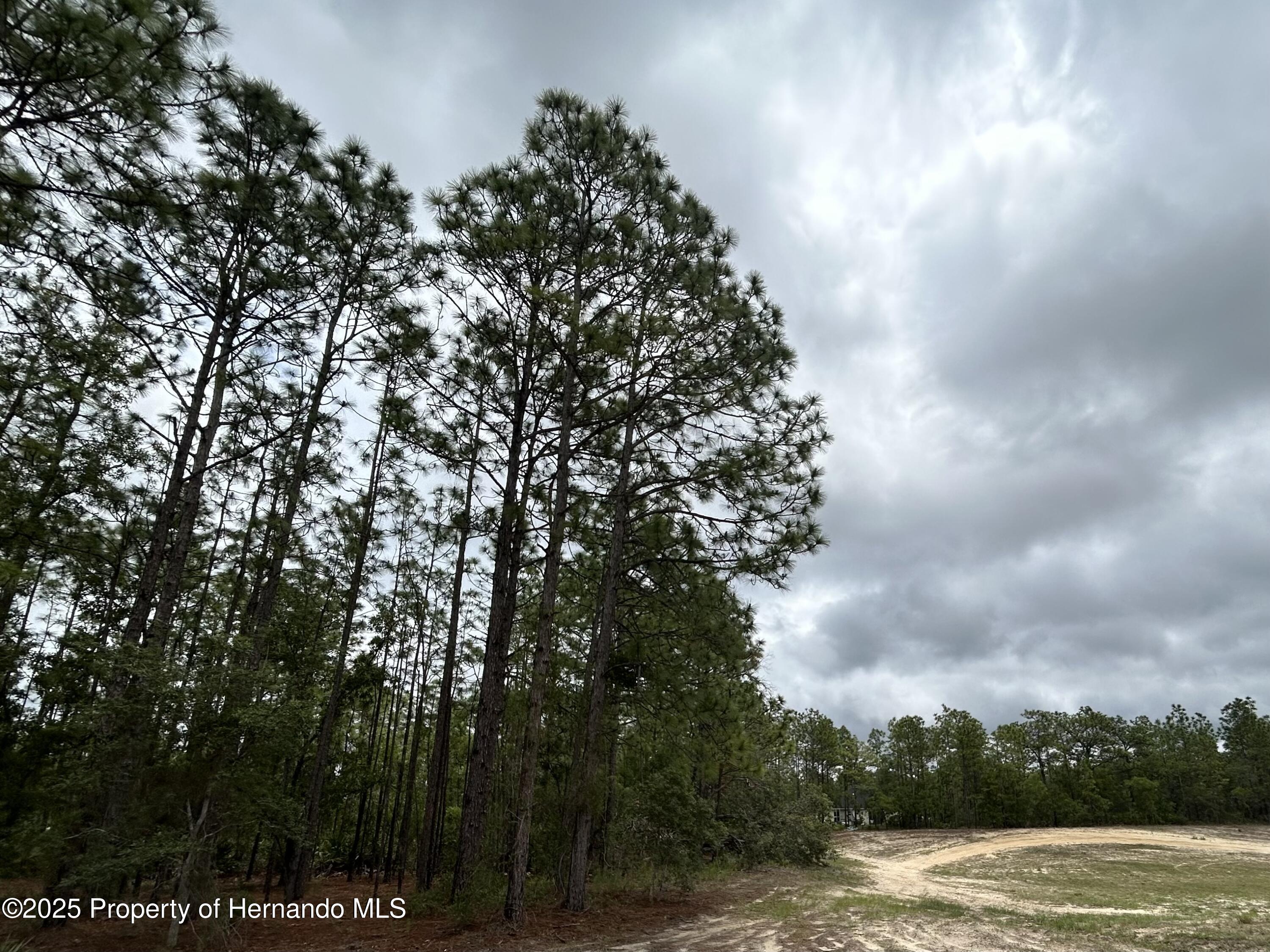 Mellon Road, Weeki Wachee, Florida image 4