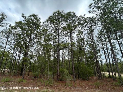 Vacant Land For Sale - Mellon Road<br/> Weeki Wachee, FL 34614