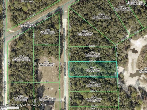 Vacant Land For Sale - 9088 Realstone Drive<br/> Webster, FL 33597