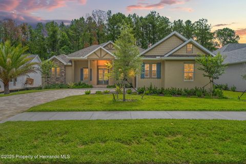 Homes For Sale - 5034 Elm Leaf Drive<br/> Brooksville, FL 34601