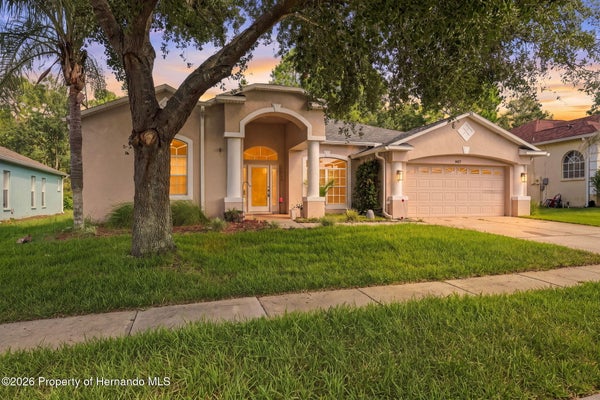 14617 EDGEMERE DR, SPRING HILL, FL 34609 - Image b4469601ec7903b96767c73a2efea704/738413255