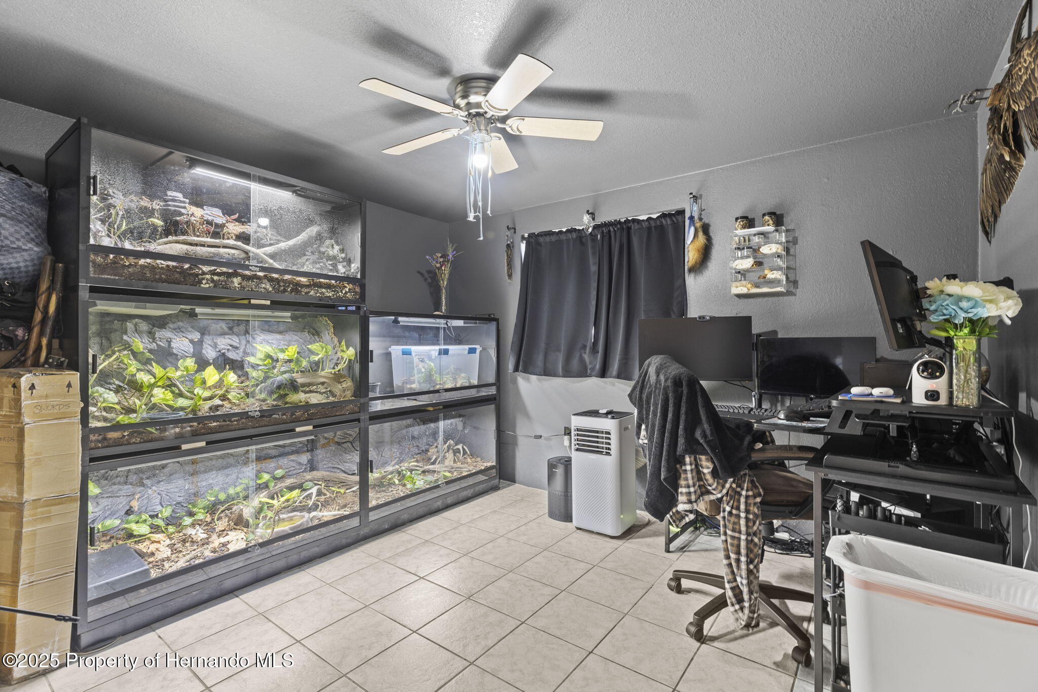 8634 Roble Way, Port Richey, Florida image 16