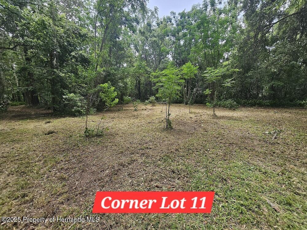 Brennan Street, Brooksville, Florida image 7