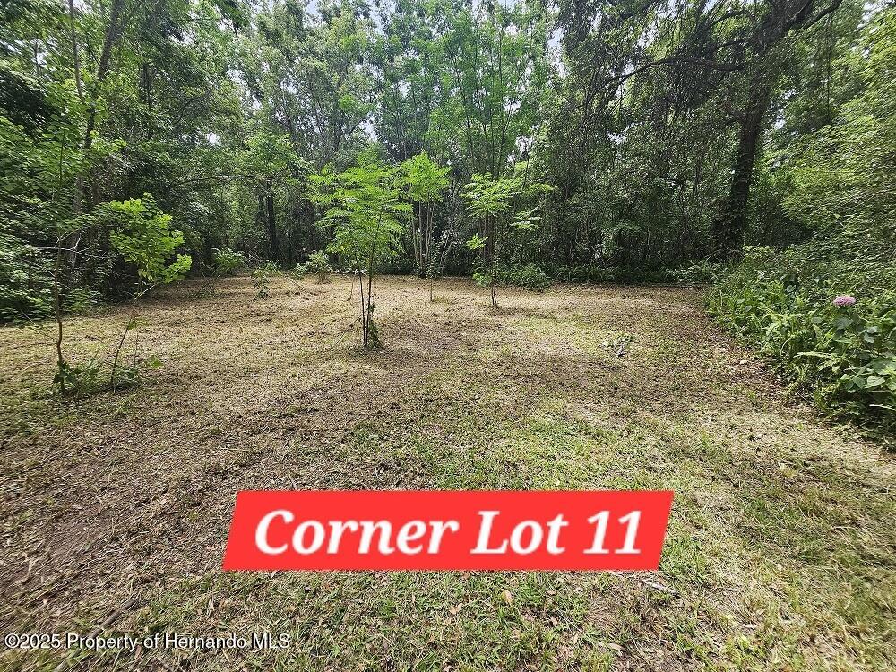 Brennan Street, Brooksville, Florida image 10