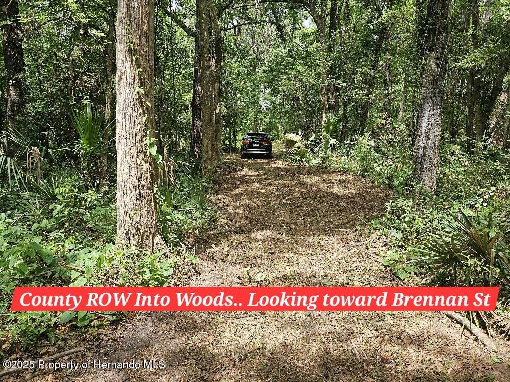 Brennan Street, Brooksville, Florida image 24
