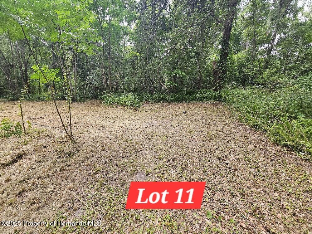 Brennan Street, Brooksville, Florida image 11