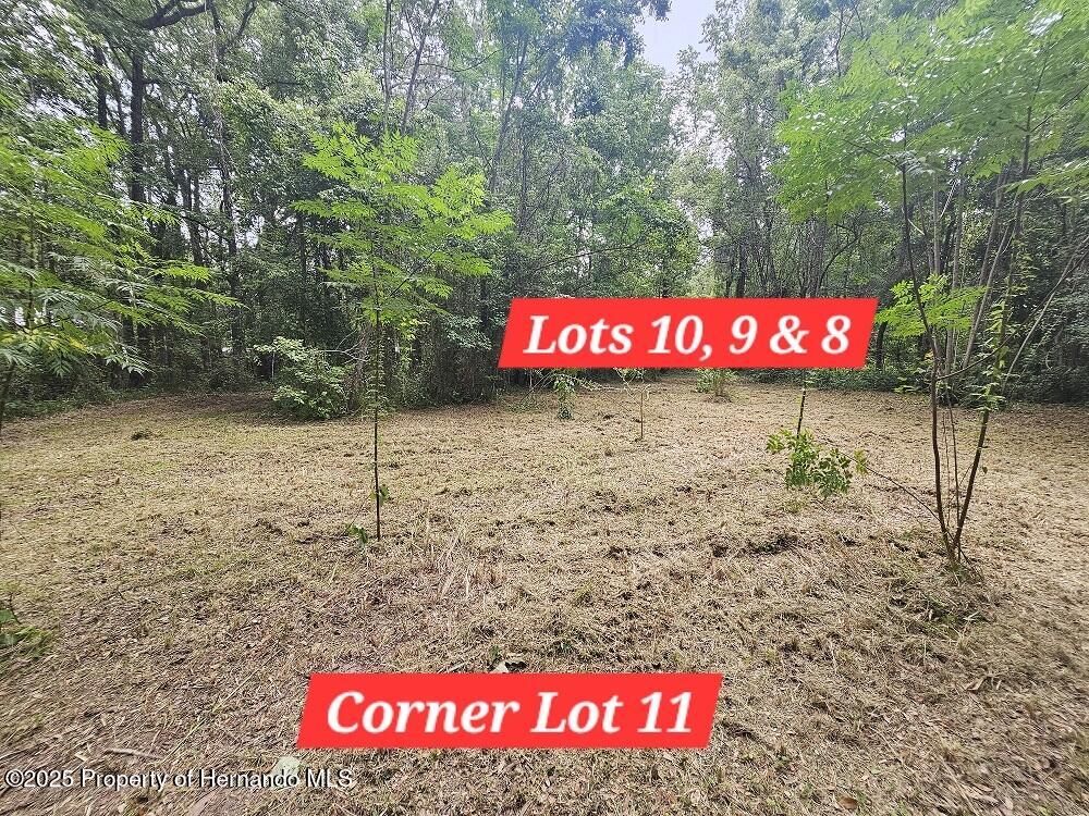 Brennan Street, Brooksville, Florida image 9