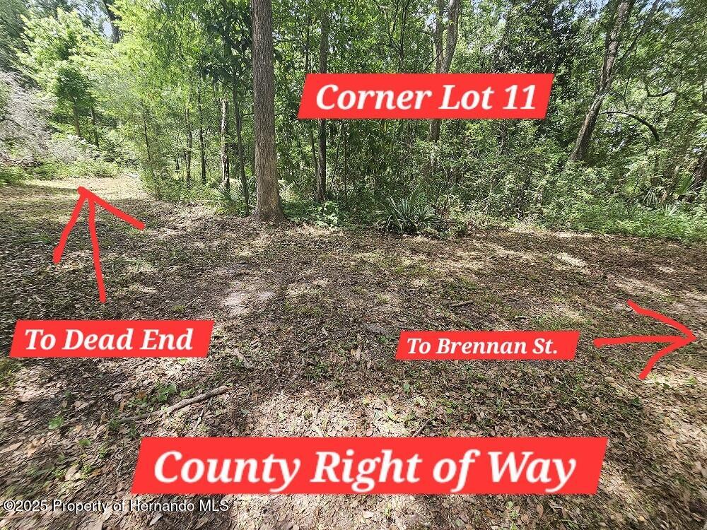 Brennan Street, Brooksville, Florida image 19