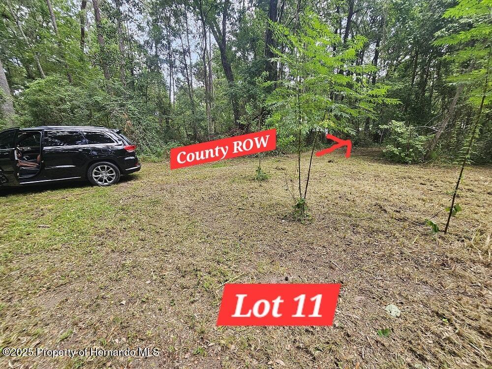 Brennan Street, Brooksville, Florida image 6