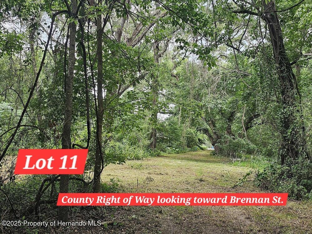 Brennan Street, Brooksville, Florida image 25