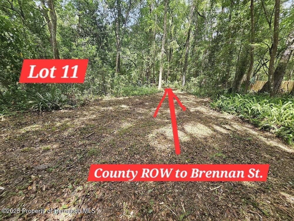 Brennan Street, Brooksville, Florida image 22