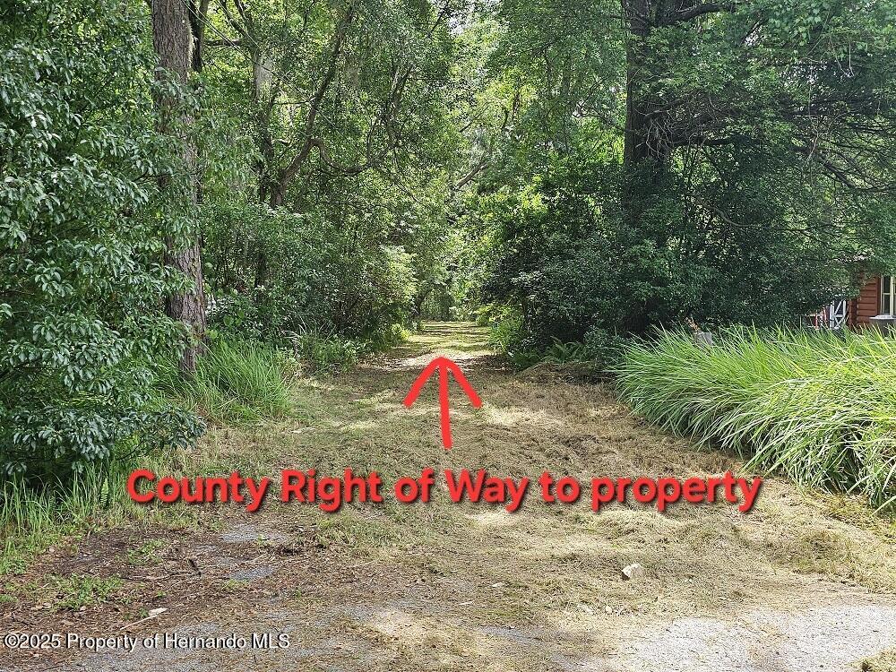 Brennan Street, Brooksville, Florida image 4