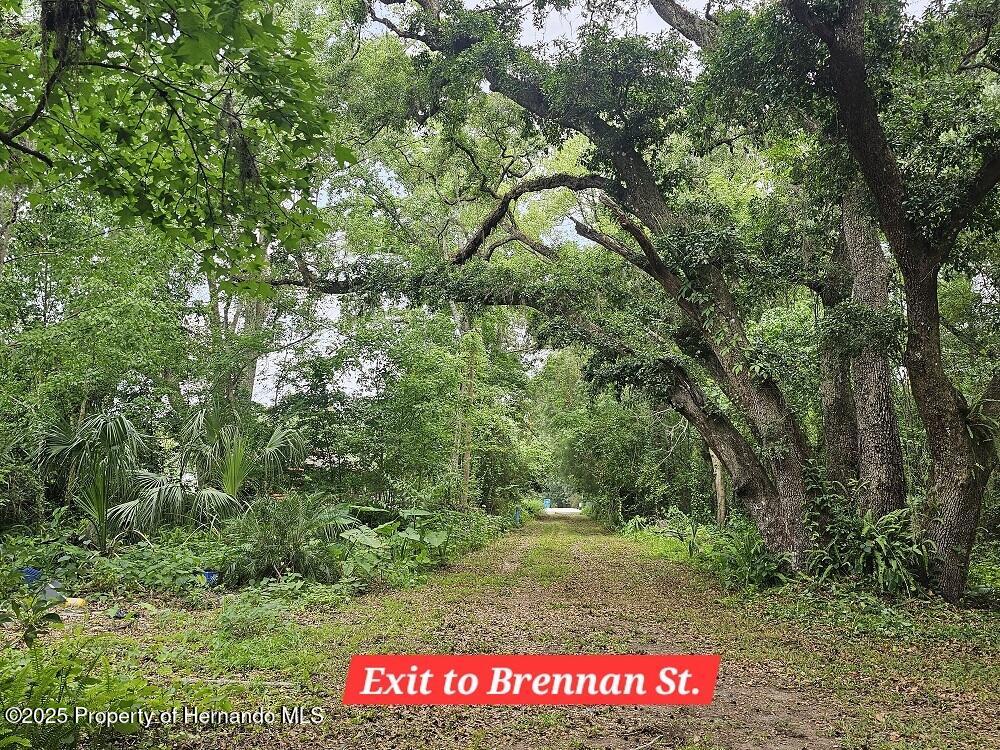 Brennan Street, Brooksville, Florida image 26