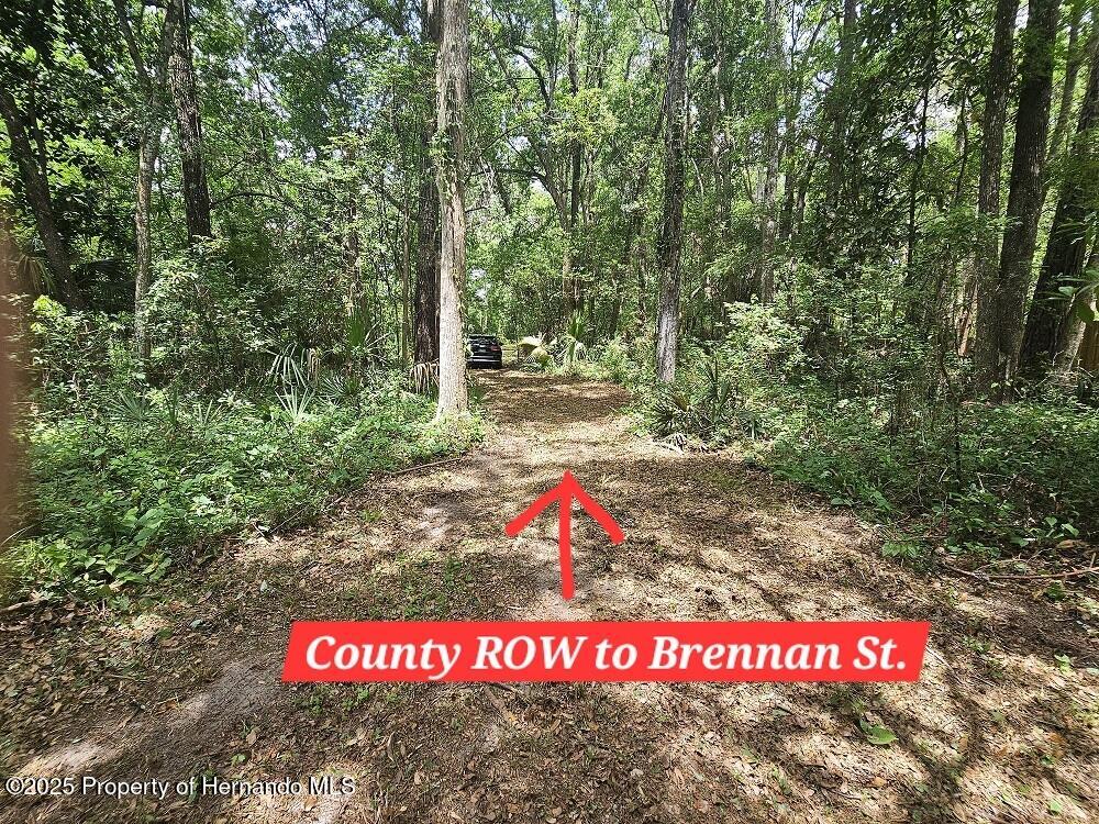 Brennan Street, Brooksville, Florida image 23