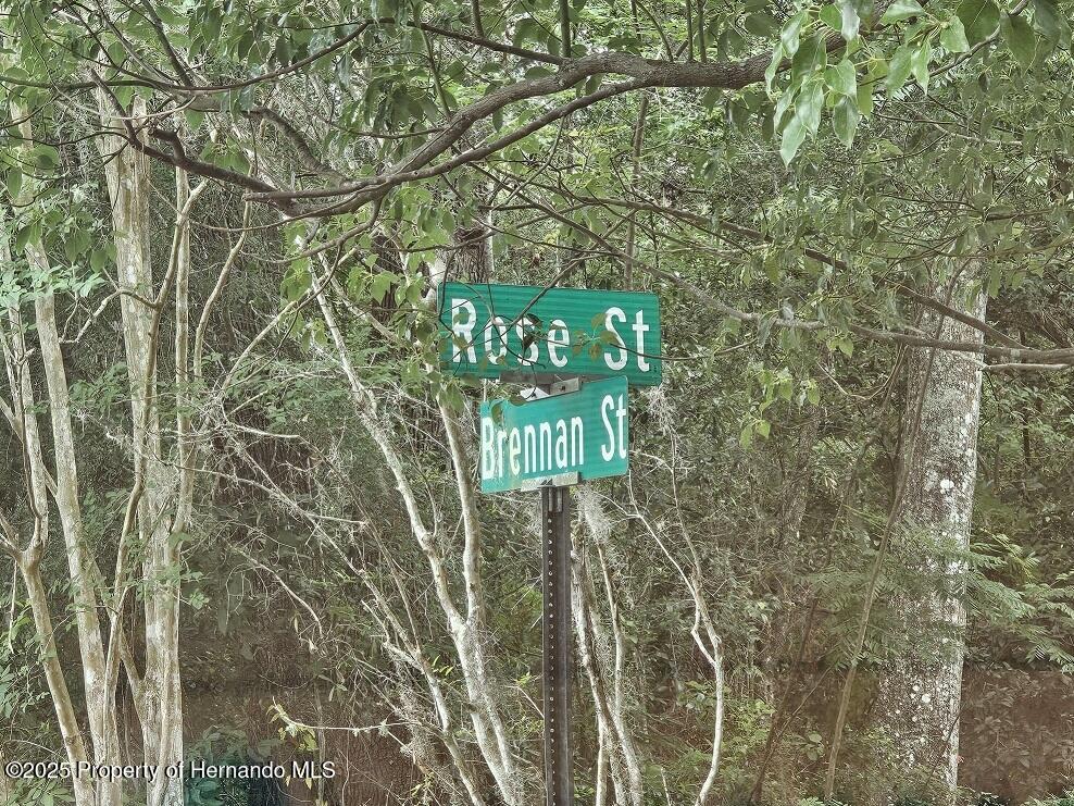 Brennan Street, Brooksville, Florida image 1