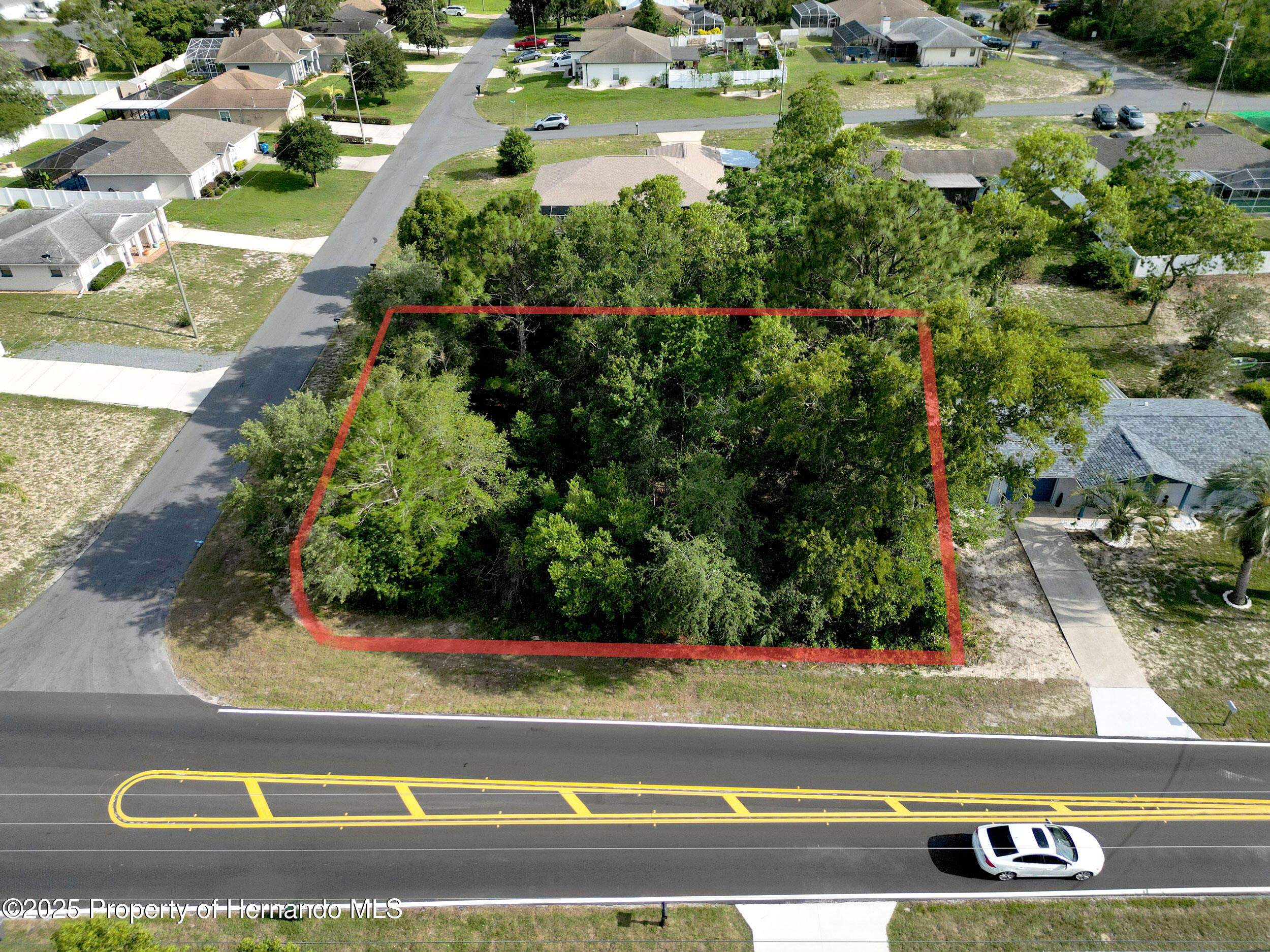 12828 Linden Drive, Spring Hill, Florida image 1