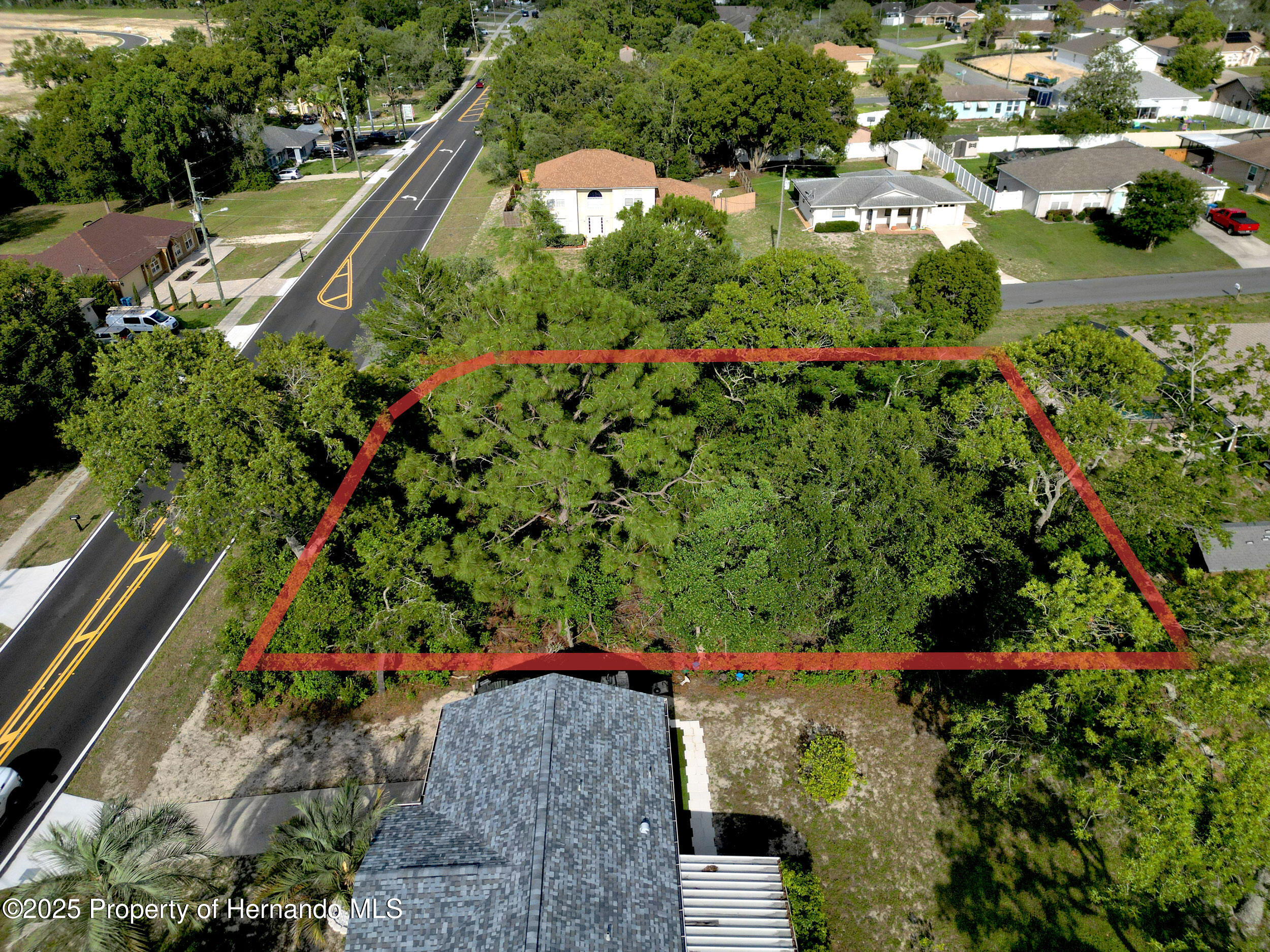 12828 Linden Drive, Spring Hill, Florida image 4